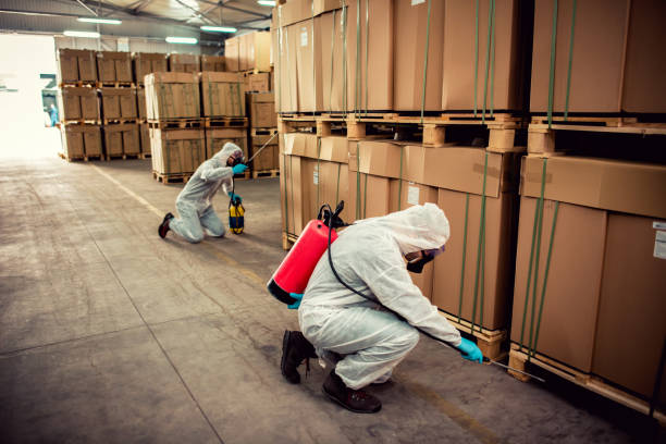 Best Affordable Pest Control Services  in Jackson, KY