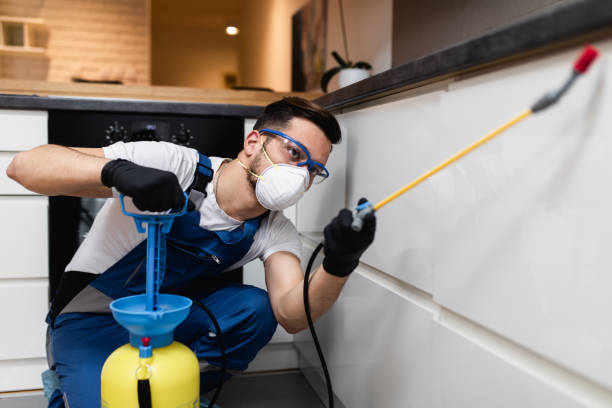 Best Pest Inspection Near Me  in Jackson, KY