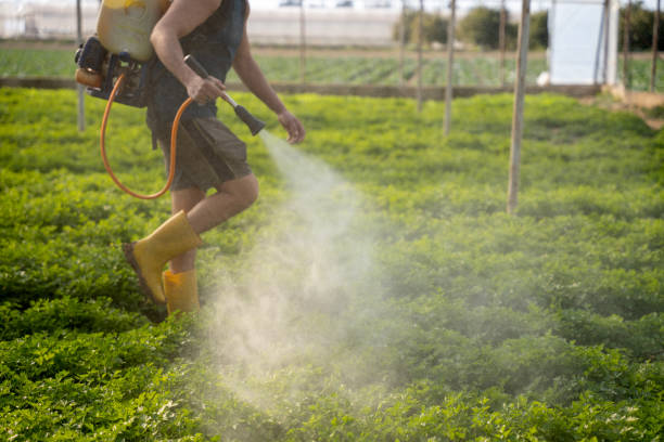 Best Best Pest Control Companies  in Jackson, KY