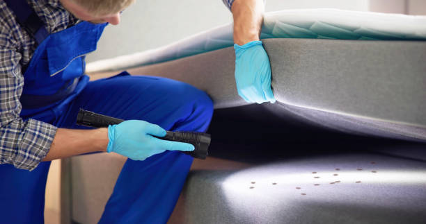 Best Pest Prevention Services  in Jackson, KY