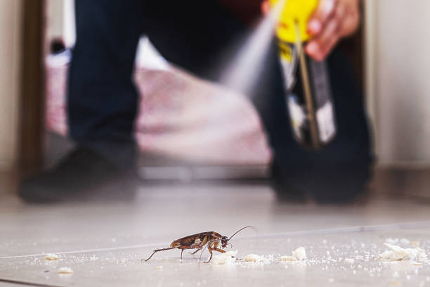 Professional Pest Control in Jackson, KY